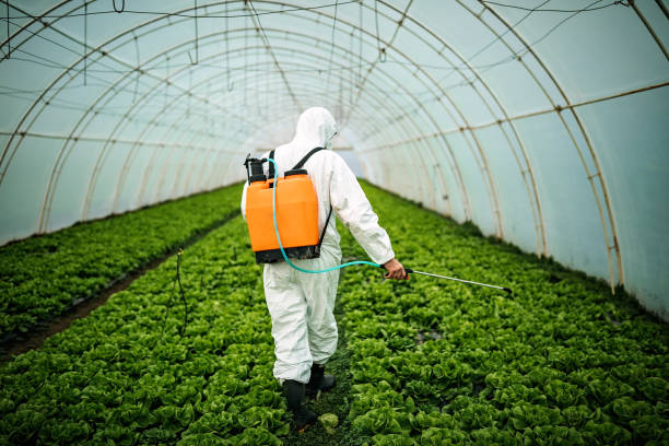 Best Best Pest Control Companies  in Boone, IA