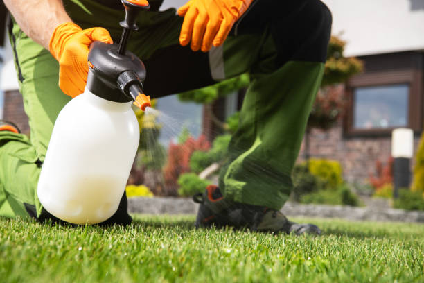 Best Insect Control  in Boone, IA
