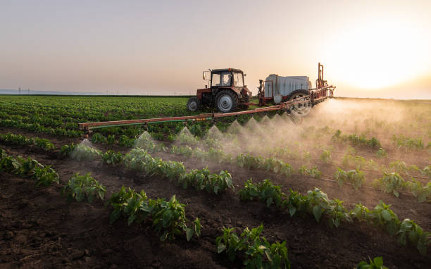 Trusted Boone, IA Pest Control Experts