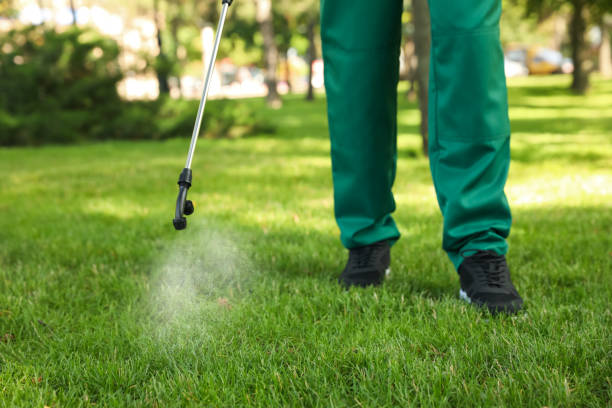 Best Pest Prevention Services  in Boone, IA