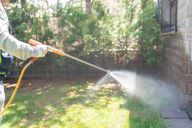 Best Emergency Pest Control  in Boone, IA