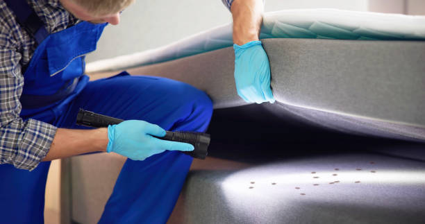 Best Pest Removal Services  in Boone, IA
