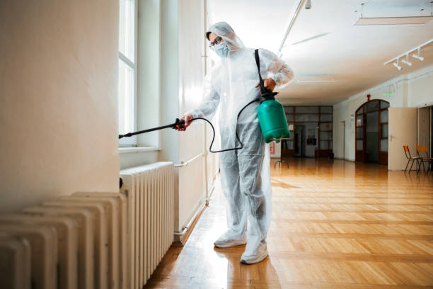 Best Cockroach Control Services  in Boone, IA