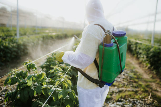 Best Affordable Pest Control Services  in Boone, IA